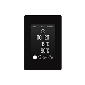 Пульт управления Born TCP