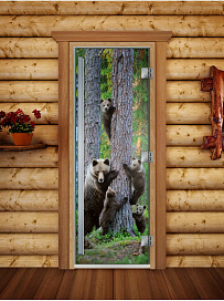 DoorWood Дверь Престиж фотопечать А064